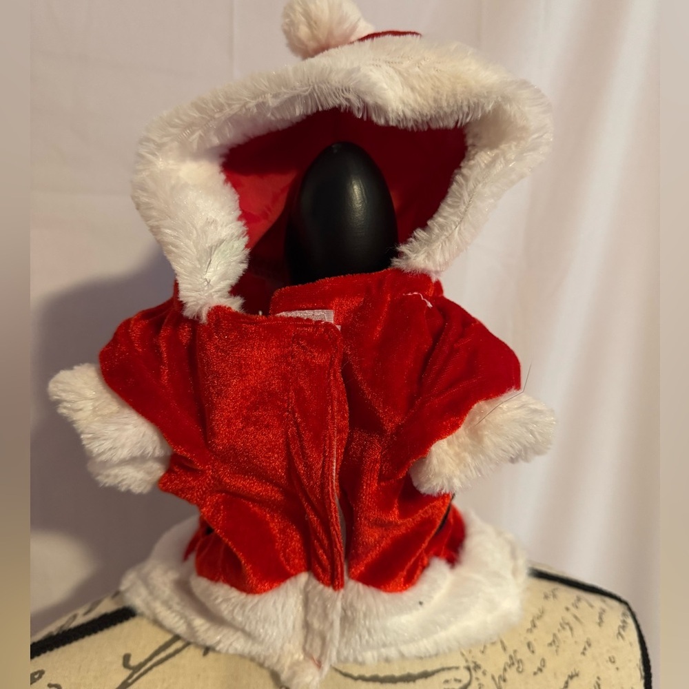 Dog Santa Costume